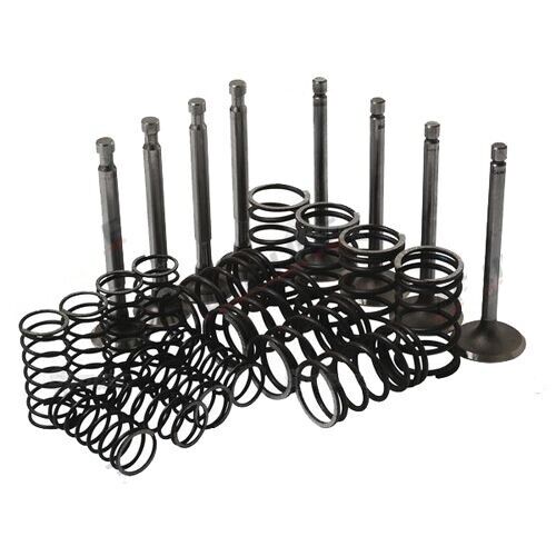 FERGUSON FE35 FE 35 23C VALVE VALVES TOP END HEAD GASKET SET KIT BOLTS COMPLETE